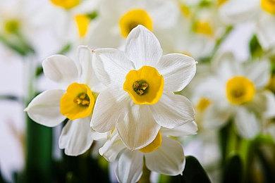 PC版快节奏足球游戏《梦想足球24》16日发售